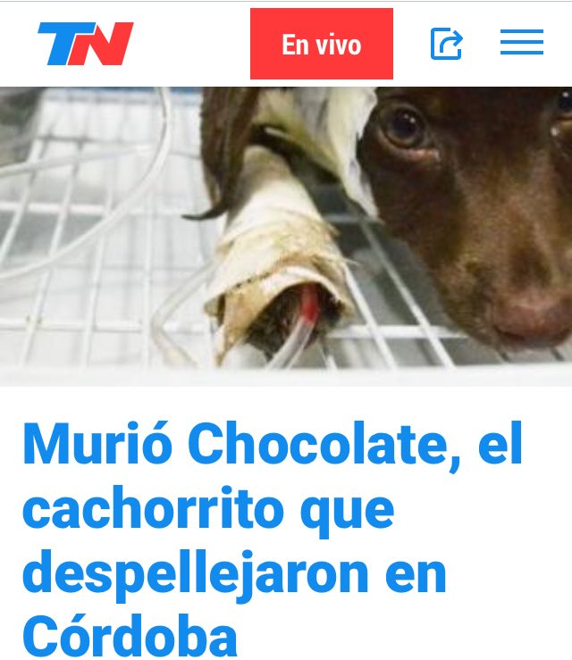 norriskind's tweet photo. con que necesidad de hacerle algo así a un pobre animal, con que necesidad de ser tan mierdas de persona https://t.co/yNdmXkv1Ij