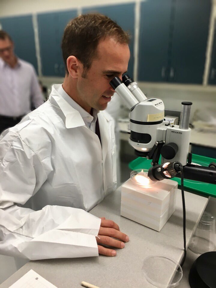 MattDeCourcey's tweet image. Excellent tour of @NRCan's Atlantic Forestry Centre in #Fredericton today, home to some of #Canada's leading forest researchers &amp;amp; innovators