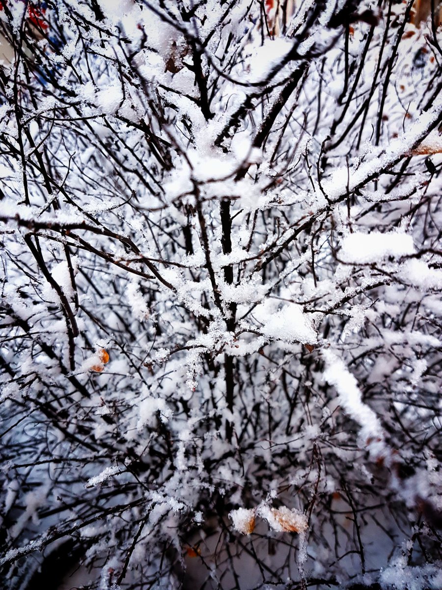 TorinoPassion's tweet photo. Let It Snow Let It Snow Let It Snow! 
#torino #turin #TorinoPassion #torinesi #ilcielosutorino #ig_turin  #neve #snow https://t.co/QunW1jfcsT
