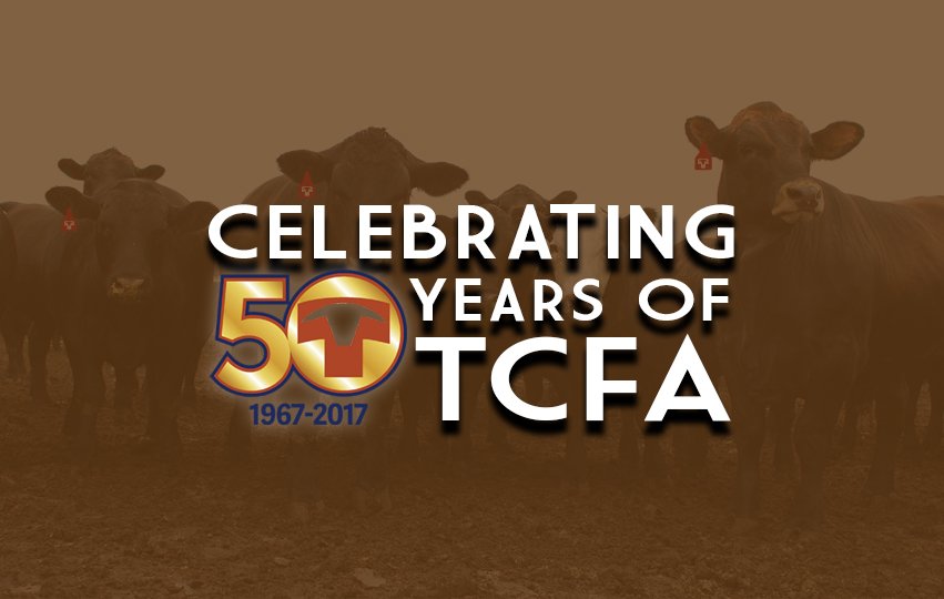 Texas Cattle Feeders Assn On Twitter Linkedin Users Be Sure To