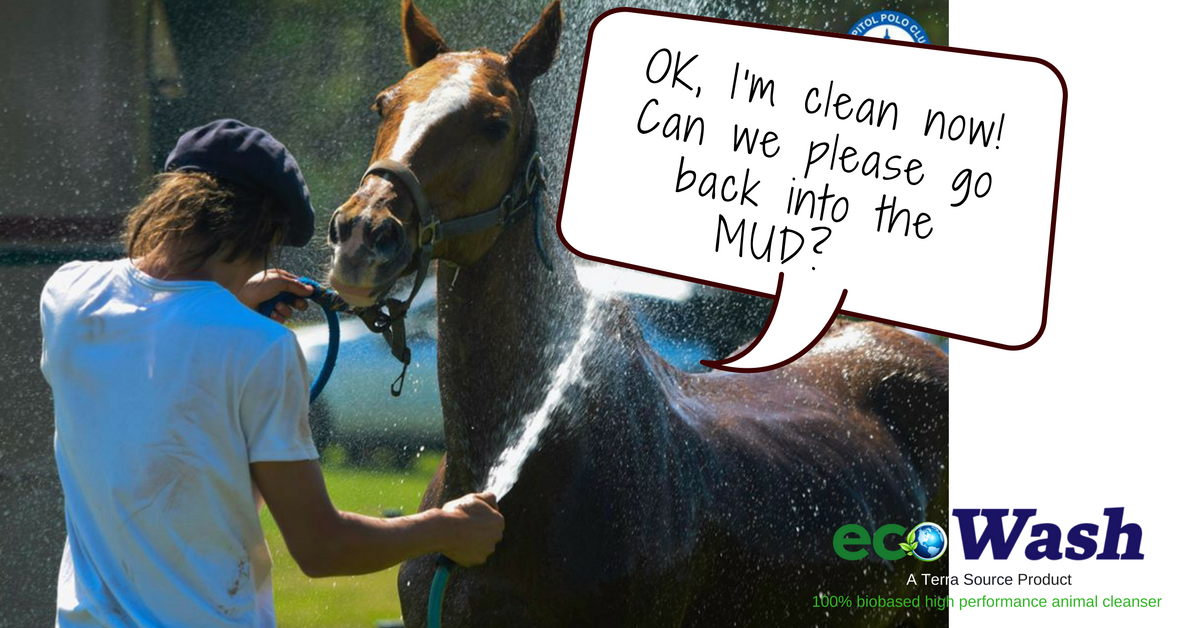 MyTerraSource's tweet photo. Revolutionary #EcoWash high performance animal cleanser TRY IT NOW and get 10% OFF using promo code LOVE2017 https://t.co/W2A5sofSOd https://t.co/OgQn4yrdC0