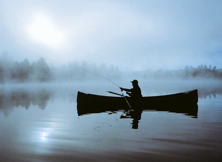 Ve MaVi 💙 tweet media