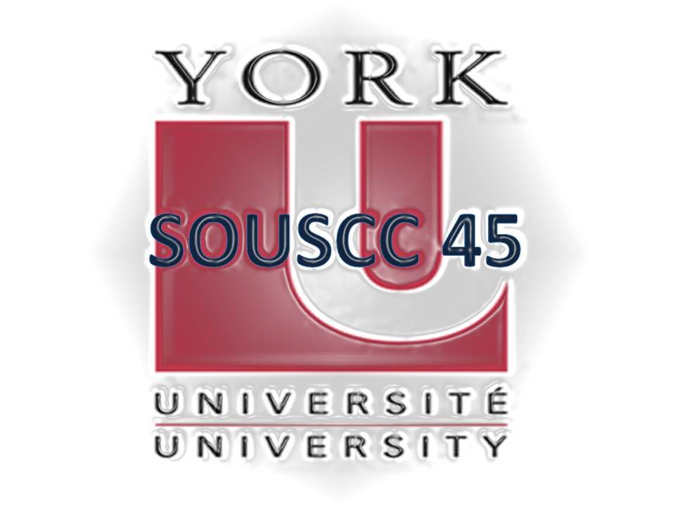 SOUSCC45 tweet media
