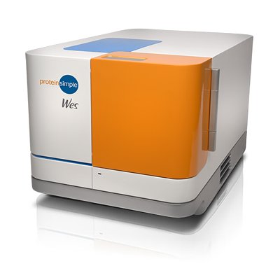 biotechne's tweet photo. Simple Westerns just got even simpler - Meet Wes #proteinsimple #westernblott
https://t.co/oXHwkiyJAi https://t.co/S8aX1R7OUN
