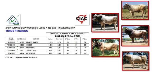 Los 5 mejores en L305. Ingrese a razacarora.com.ve/Sumario.htm para ver Sumario de Toros Carora I Semestre 2017 #razacarora #asocrica #ciac