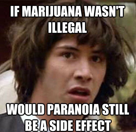 McBingCo's tweet photo. Fair question. #cannabis #mcbing #oregongrown https://t.co/RunzAf7Mi0