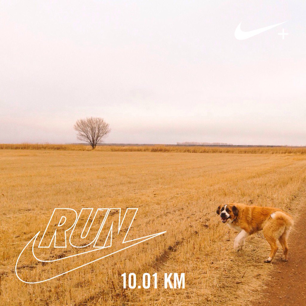 Dominuspars's tweet image. 