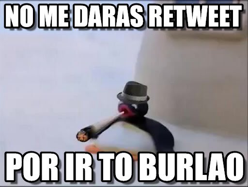 UniversoPingu's tweet photo. @Grldickbestdick @Laqrecio https://t.co/SId22Vl1CK