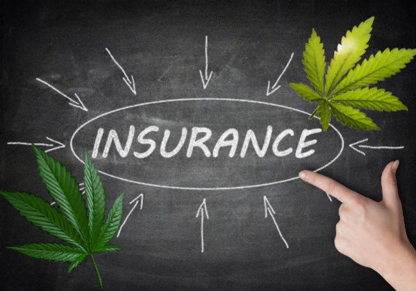 New Jersey Judge Rules in Favor of Insurance Company Covering Medical Cannabis Expenses cannabisreports.com/news/2017/01/0… via <a href="/smokereports/">Cannabis Reports</a>