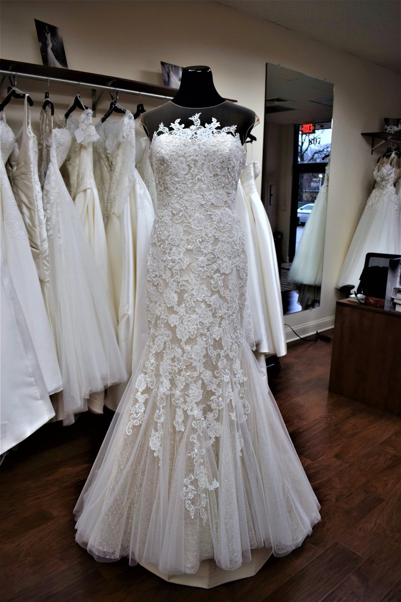 Donnas_Bridal's tweet photo. This Stunning Lace Mermaid Style Wedding Gown by @pronovias is in our Northbrook Store! https://t.co/MKjPPgpjV3 #pronovias #bridal  #wedding https://t.co/fl9kE92zr0