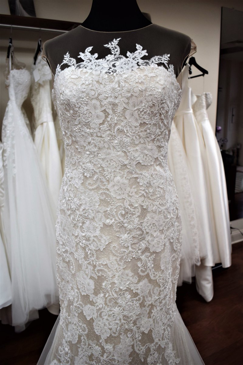 Donnas_Bridal's tweet photo. This Stunning Lace Mermaid Style Wedding Gown by @pronovias is in our Northbrook Store! https://t.co/MKjPPgpjV3 #pronovias #bridal  #wedding https://t.co/fl9kE92zr0