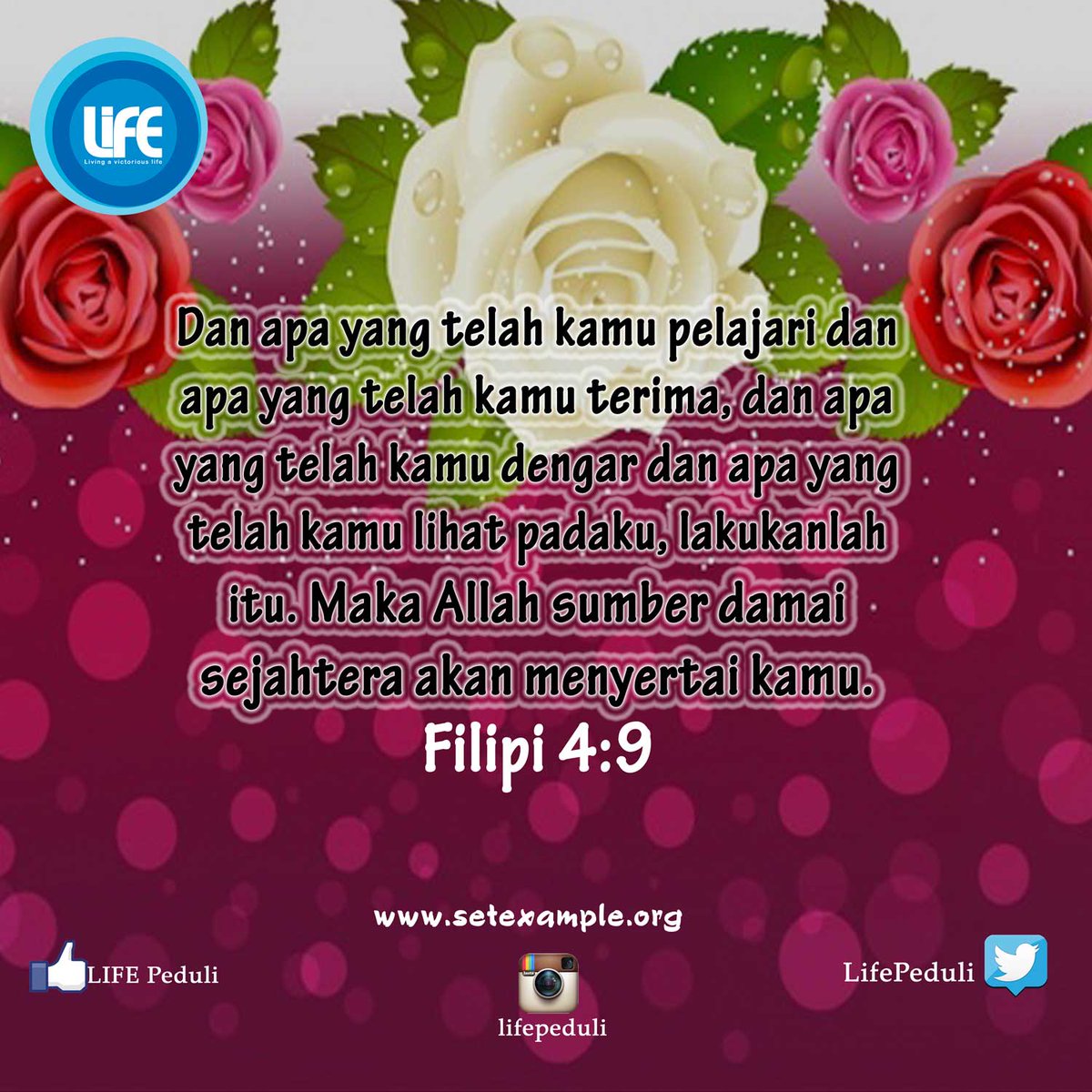 LifePeduli's tweet photo. Allah sumber damai sejahtera menyertai kita semua, selamat pagi Tuhan Yesus memberkati. Amin https://t.co/TsR6FYnrTI