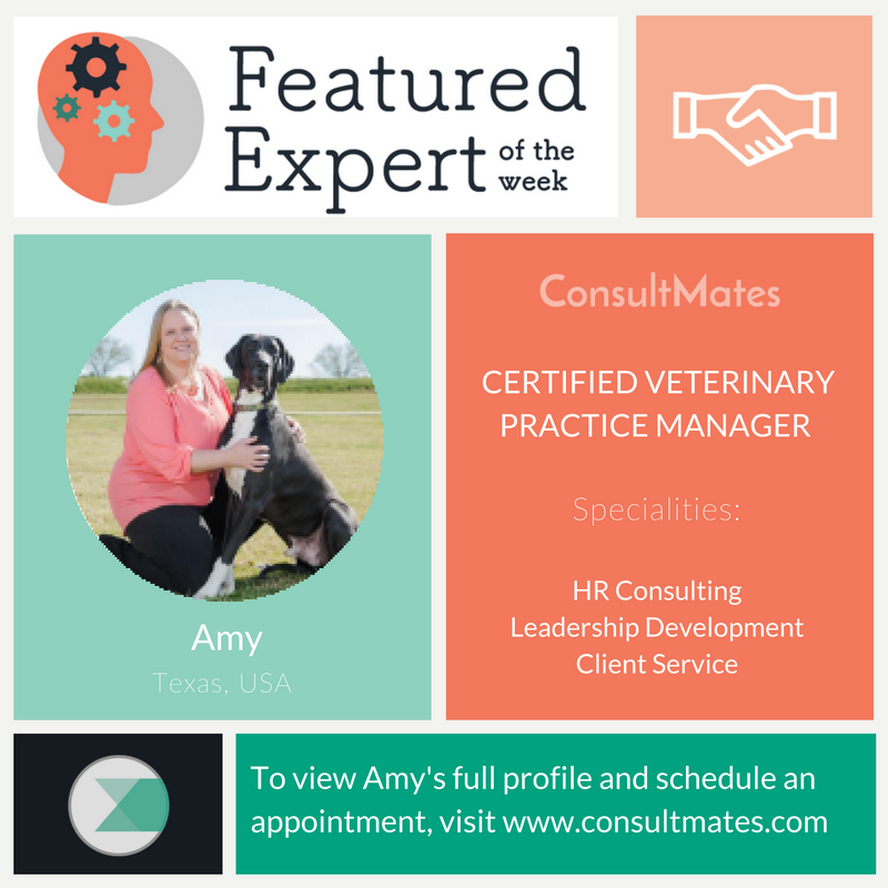 consultmates's tweet photo. Welcome to ConsultMates, Amy! https://t.co/v5y7PVTf8Y