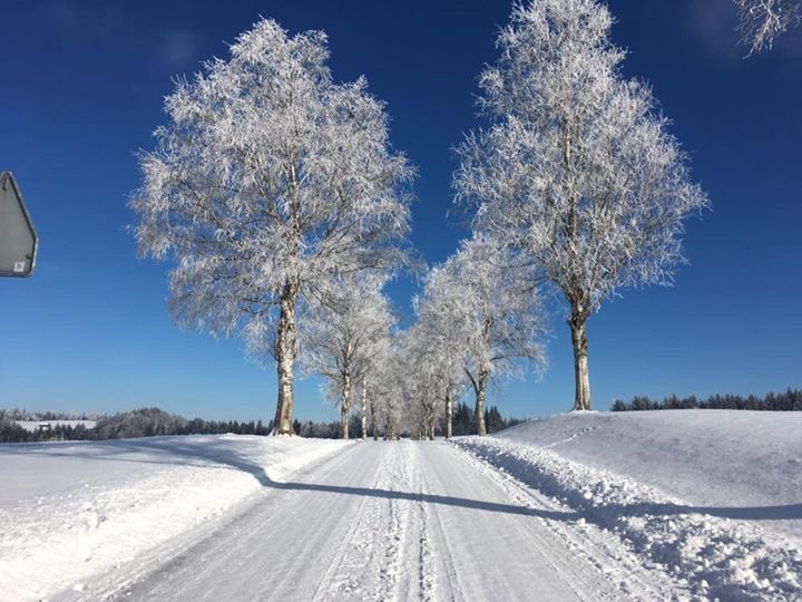 Winter arrives in Basel...