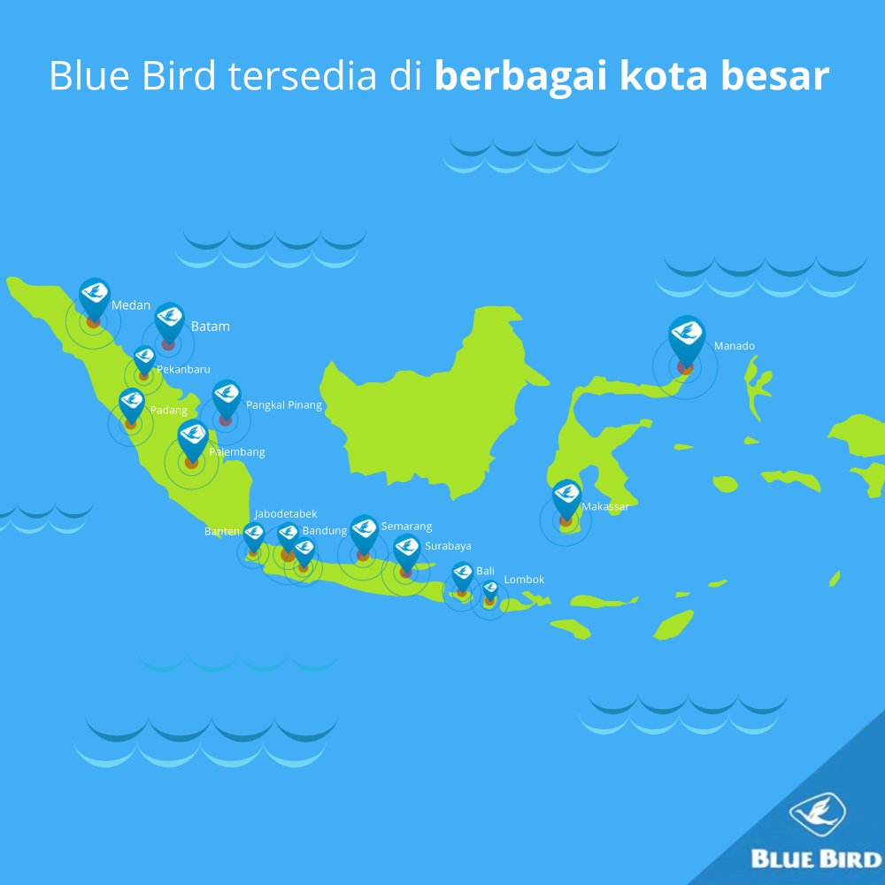Bluebird Group tweet media