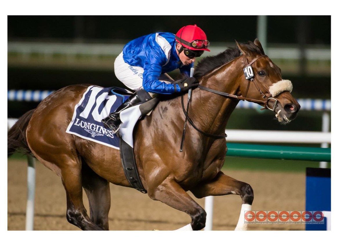 Tom Morgan Photo tweet media