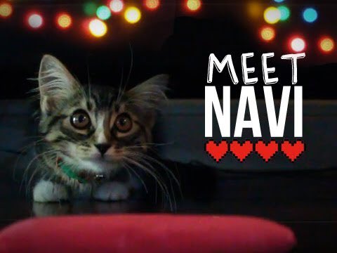 HttpKittyNavi's tweet image. "Hi!"
~New Navi.
~Not new to Rp, Not new to character 
~Semi-detailed 
~Ships with chemistry 

~RT if you want.