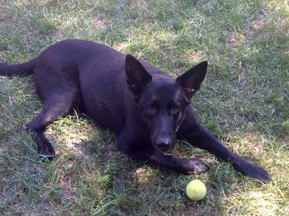 Buddy Jerge tweet media