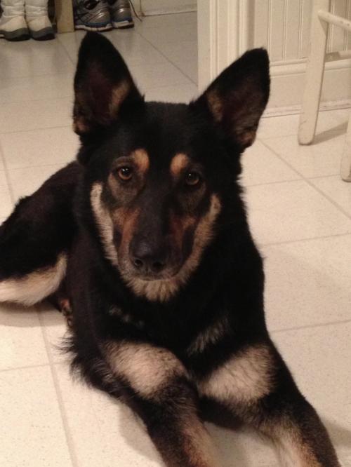 Buddy Jerge tweet media