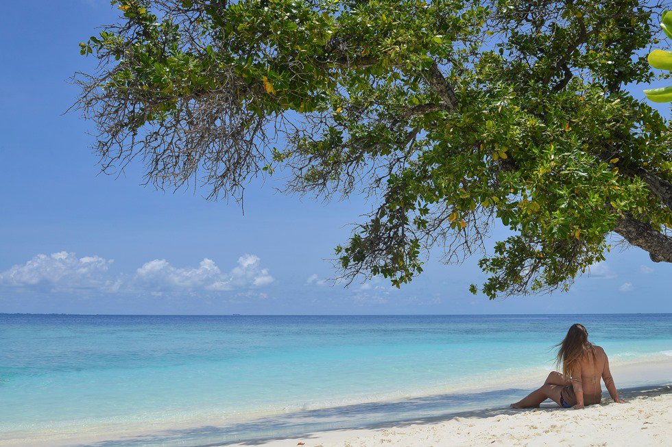 maldives's tweet photo. All you need is beach therapy 🌴🌞👙🌊
Photo:: @bandosmaldives https://t.co/DgBFcfI6Cu