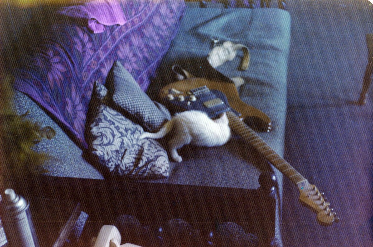 Premunition (@premunition) on Twitter photo <a href="/Premunition/">Premunition</a> #Rock #ThursdayThought #ThursdayMusic #RockMusic
Once there was a cat and a Strat! <a href="/Premunition/">Premunition</a> #Rock #ThursdayThought #ThursdayMusic #RockMusic
Once there was a cat and a Strat!