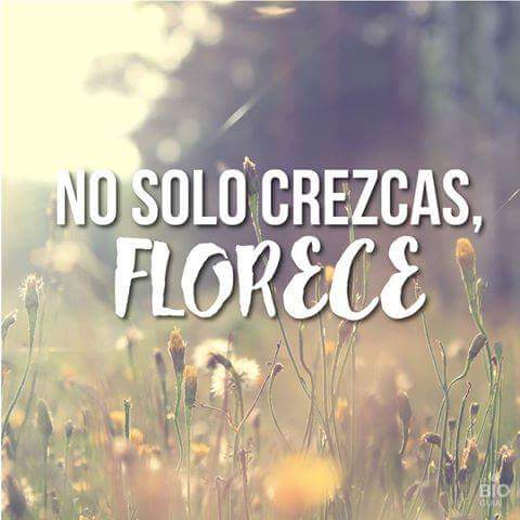 mollo_mariana's tweet photo. Los nenes crecen o yo me achico? alumnos #salade2 ❤amor👬👭👬👭 #verloscrecer .....seguir juntos 👑 https://t.co/iqlBnIkPS3