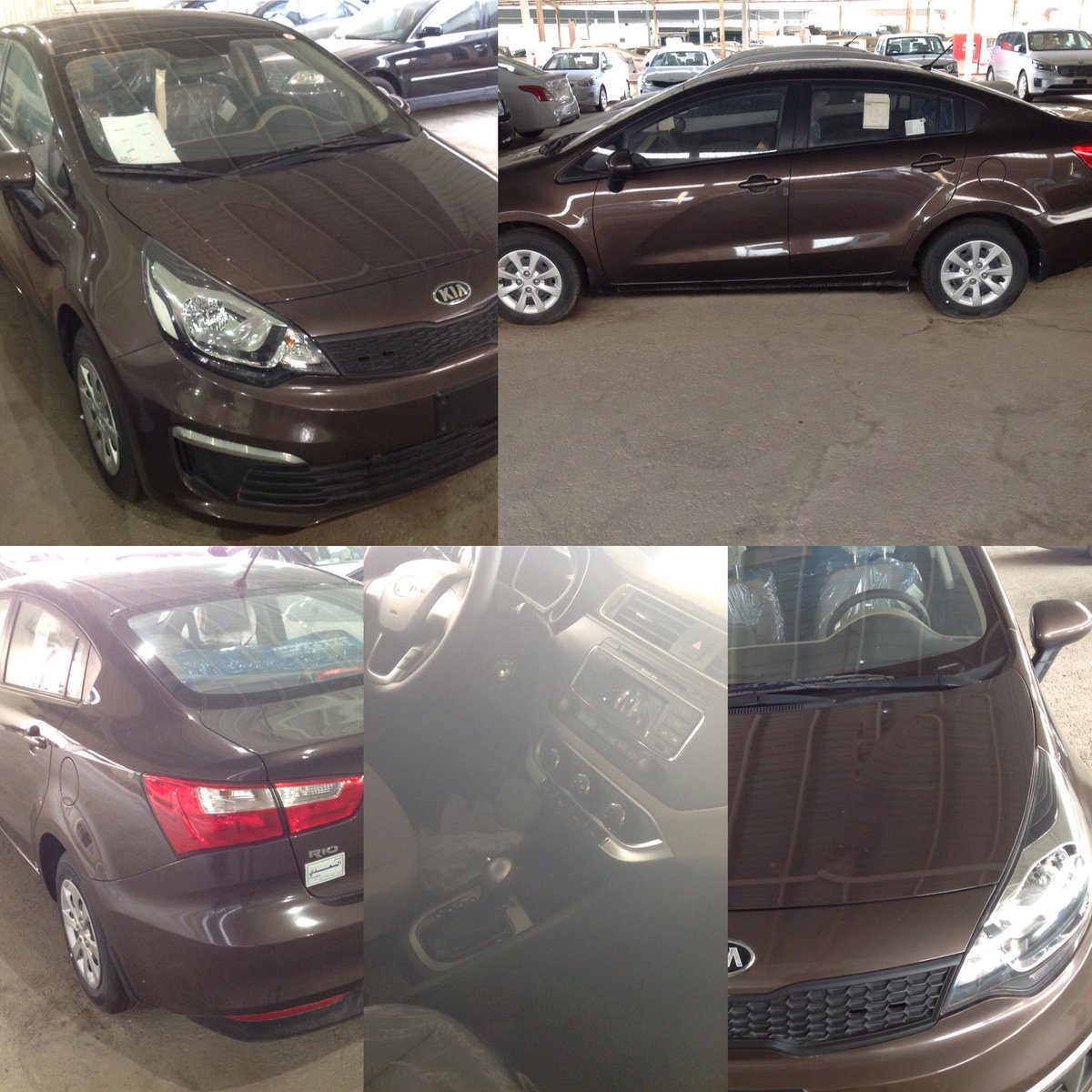 saadimotors's tweet photo. #kia #rio #2016
#كيا #ريو 2016 ستاندر ونصف فل
#الدمام #الشرقية #السعودية 
 #قولي_كلمه_بخاطرك https://t.co/NVMjPA104X