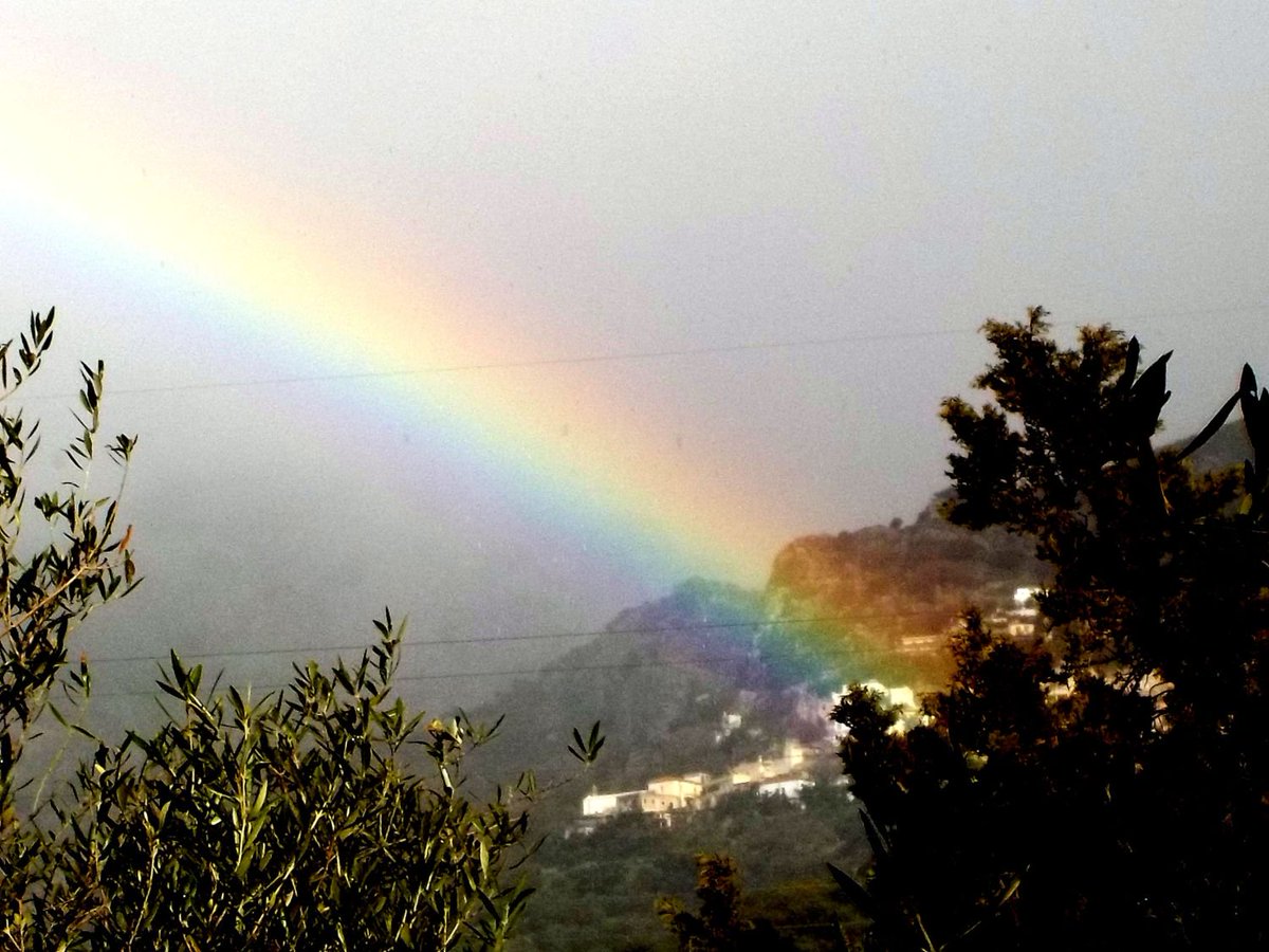 cretenaturalist's tweet photo. @WorldFogWatch The colours of the #rainbow explained in nature in this week’s #CreteNatureBlog: https://t.co/Da8cMScPO2 https://t.co/c03H9yIZFw