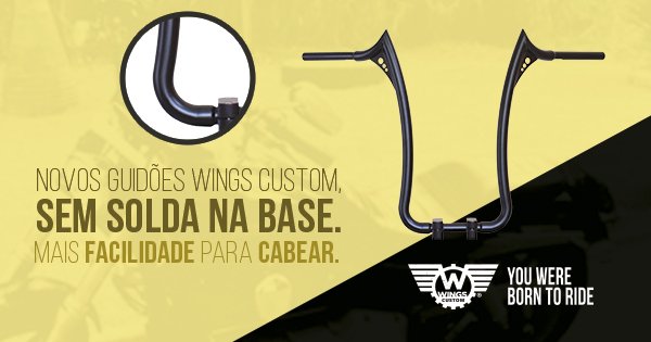 wingscustom1 tweet picture