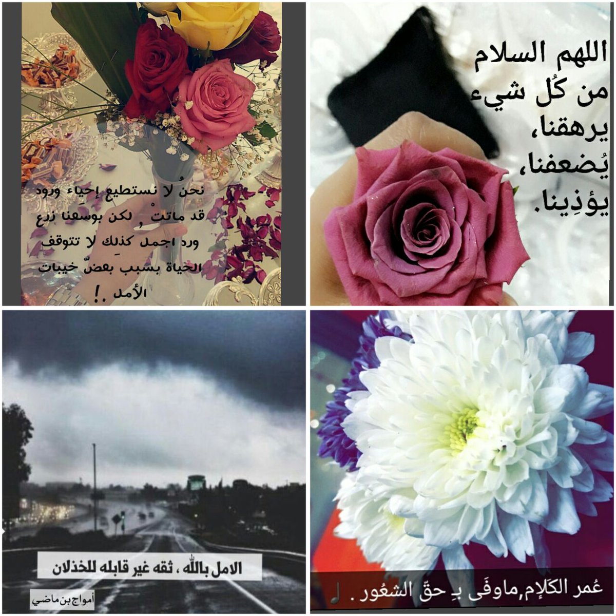 Draft_11's tweet photo. #تصميم_الصور  
ارفع كلماتك ولاترفع صوتك… فالمطر هو الذي ينبت الورود وليس الرعد.. . https://t.co/eFRmjXeMoe