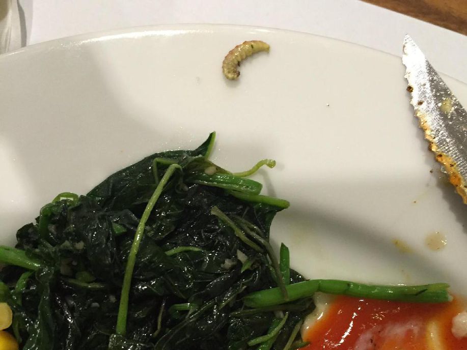 Ada Ulat di Bayam Holycow!, Ini Penjelasan Lucy Wiryono detik.id/VzAG5v