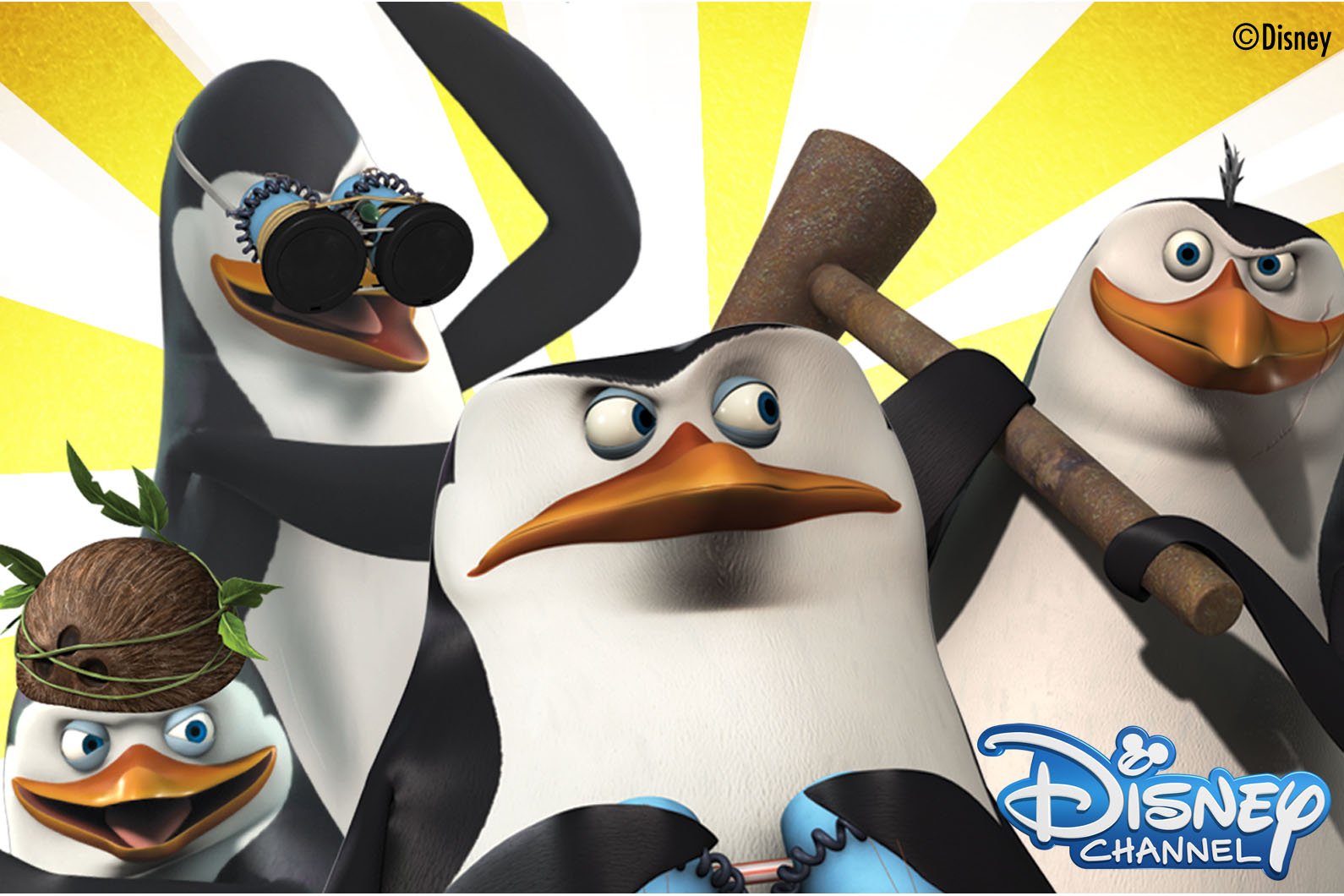 ディズニー チャンネル公式 15日 日 10時 ザ ペンギンズfromマダガスカル 話連続放送 キュートなペンギンたちが秘密組織のメンバーとして任務に大奮闘 続いて時 マダガスカル3 を放送 笑いのとまらないハッピーなトリ年を T Co
