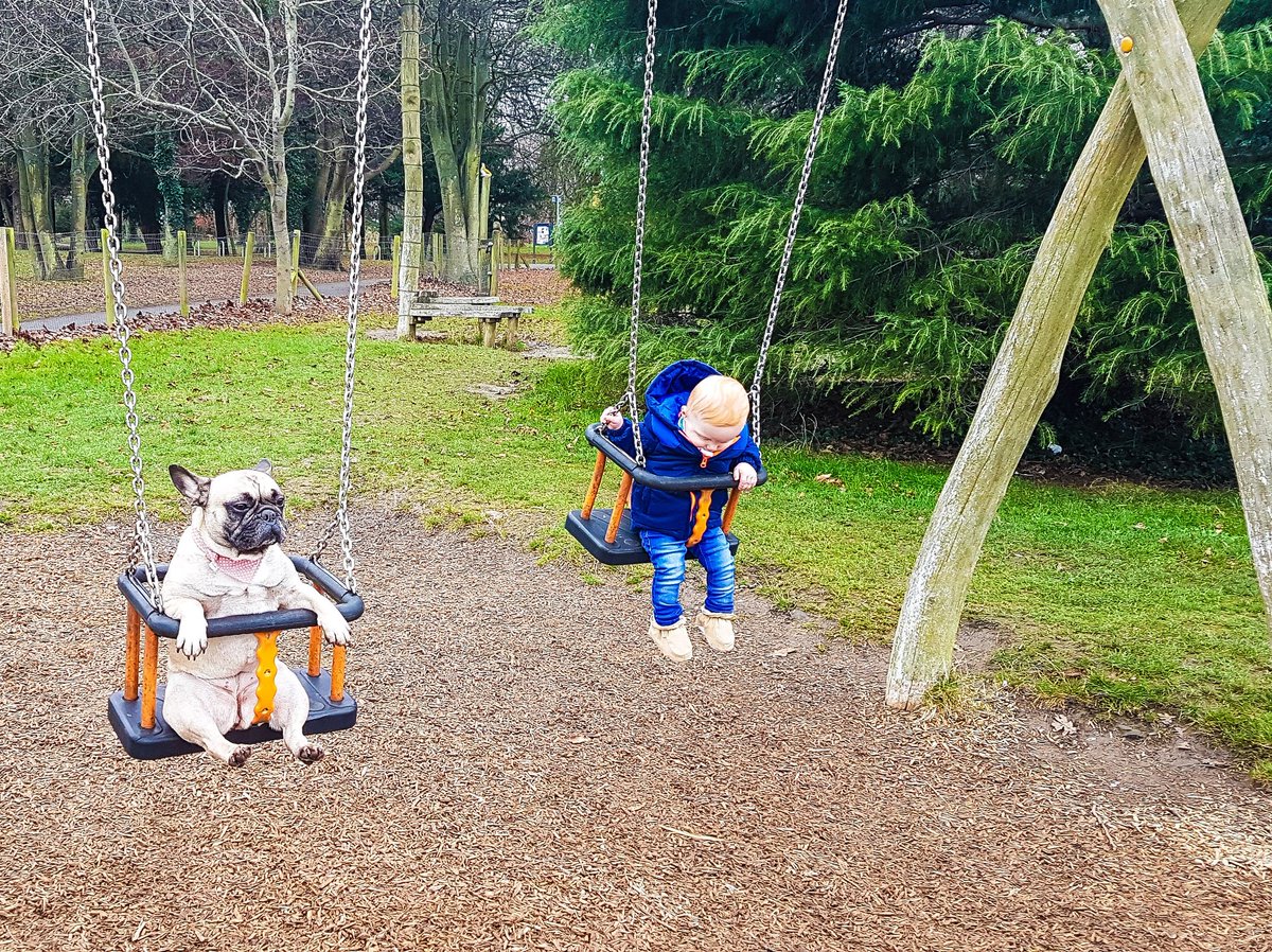 ThePudgeMM's tweet photo. Mia: Do you think she's gonna put down that bloody camera and push us Conor? #dogsandkids #dogsdoinghumanthings #frenchbulldog https://t.co/xygWJsPnzv