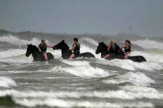 Rederij Doeksen feliciteert Puur Terschelling <a href="/PuurSkylge/">Puur-Terschelling</a> met het winnen van de titel Leukste uitje van Friesland 2017 <a href="/ANWB/">anwb</a> Van harte!