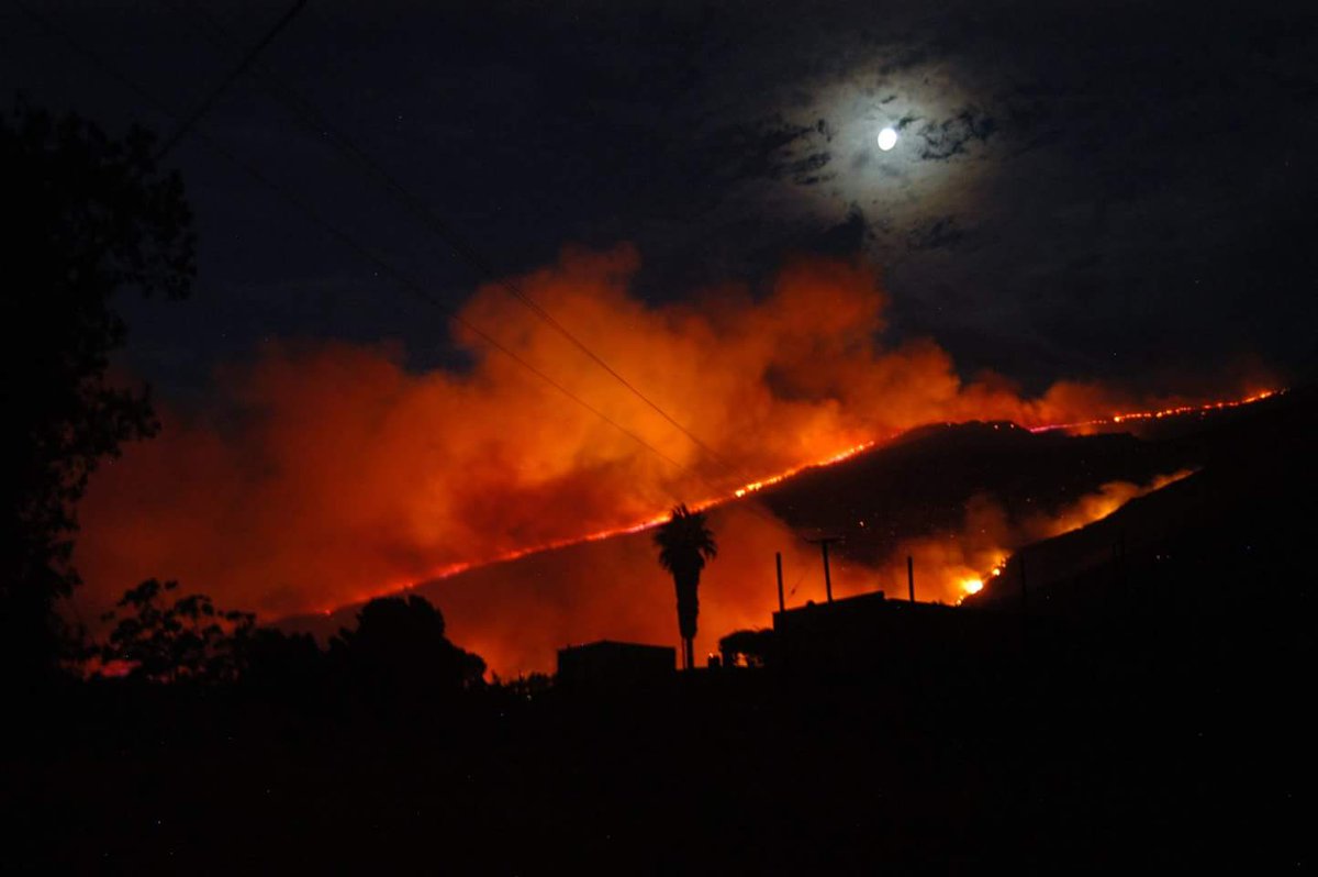 WOF-Kishugu JV tweet media