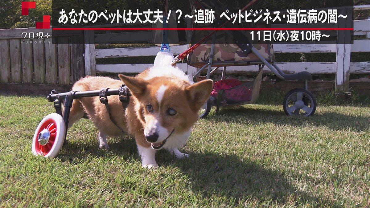 栃木ふー助 あやちゃん ヌード 船岡美人温泉(鳥取県八頭郡八頭町船岡1832-5)の入浴施設や温泉施設 - [寄り湯ドットコム]