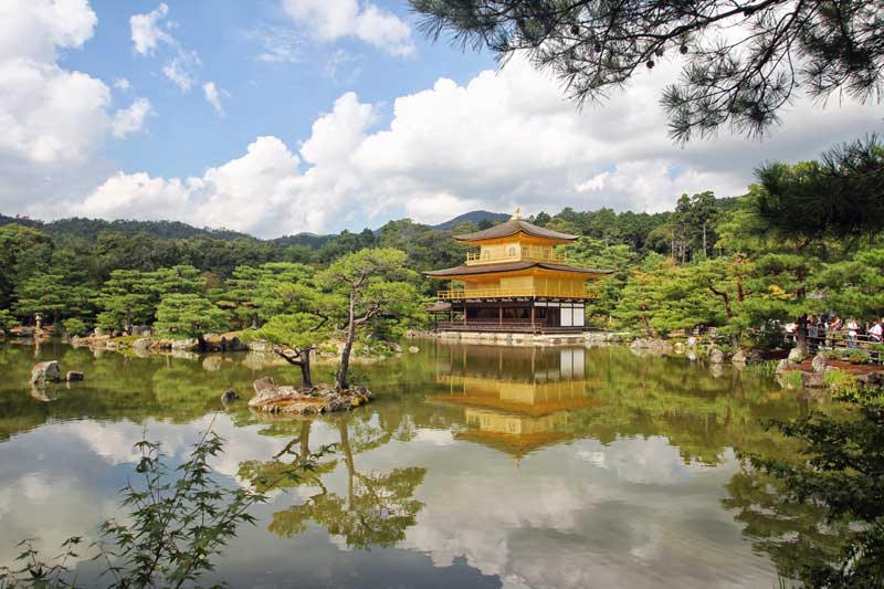 Sauce Travel tweet media