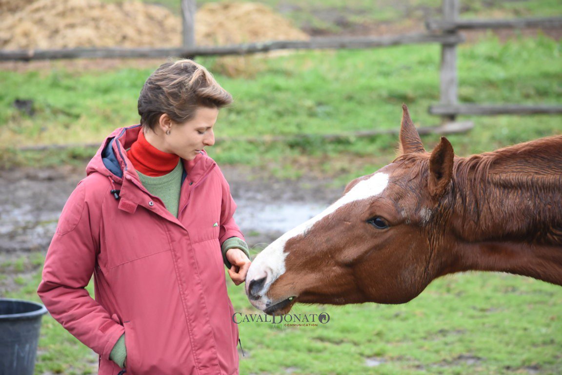 Equestrian_In's tweet photo. #eventer @co_mantici &amp; her #foal #puledro #horse Normanno (#hannover 2014, Charilan x Farkland) #eventing #crosscountry https://t.co/oDkH0V5AYz