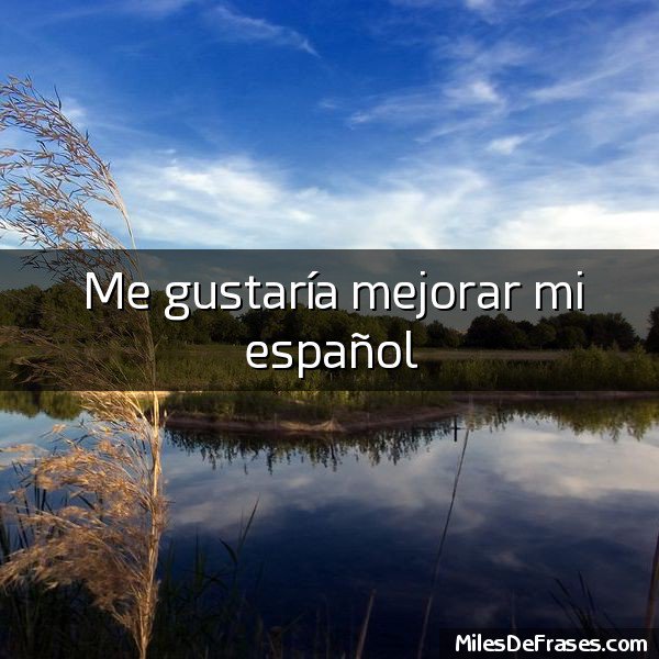 ¿Cuáles son tus propósitos para este año?What are your resolutions for this new year? malagatogo.com #learnSpanish #Spanish