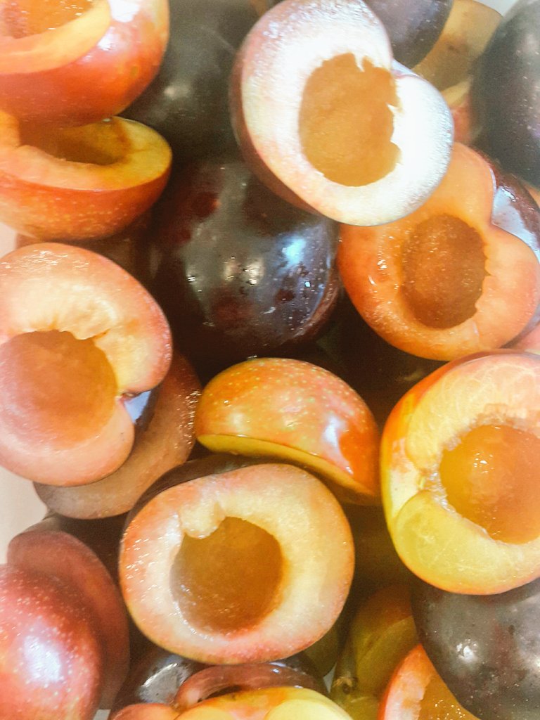 fRANAz91's tweet photo. New Main course,perfect with @creationwines Syrah Grenache.#Plums #candybeetroot #cranberry #SpringbokLoin #Thyme #Wallnut #Sumac https://t.co/l8tV9CgdtO