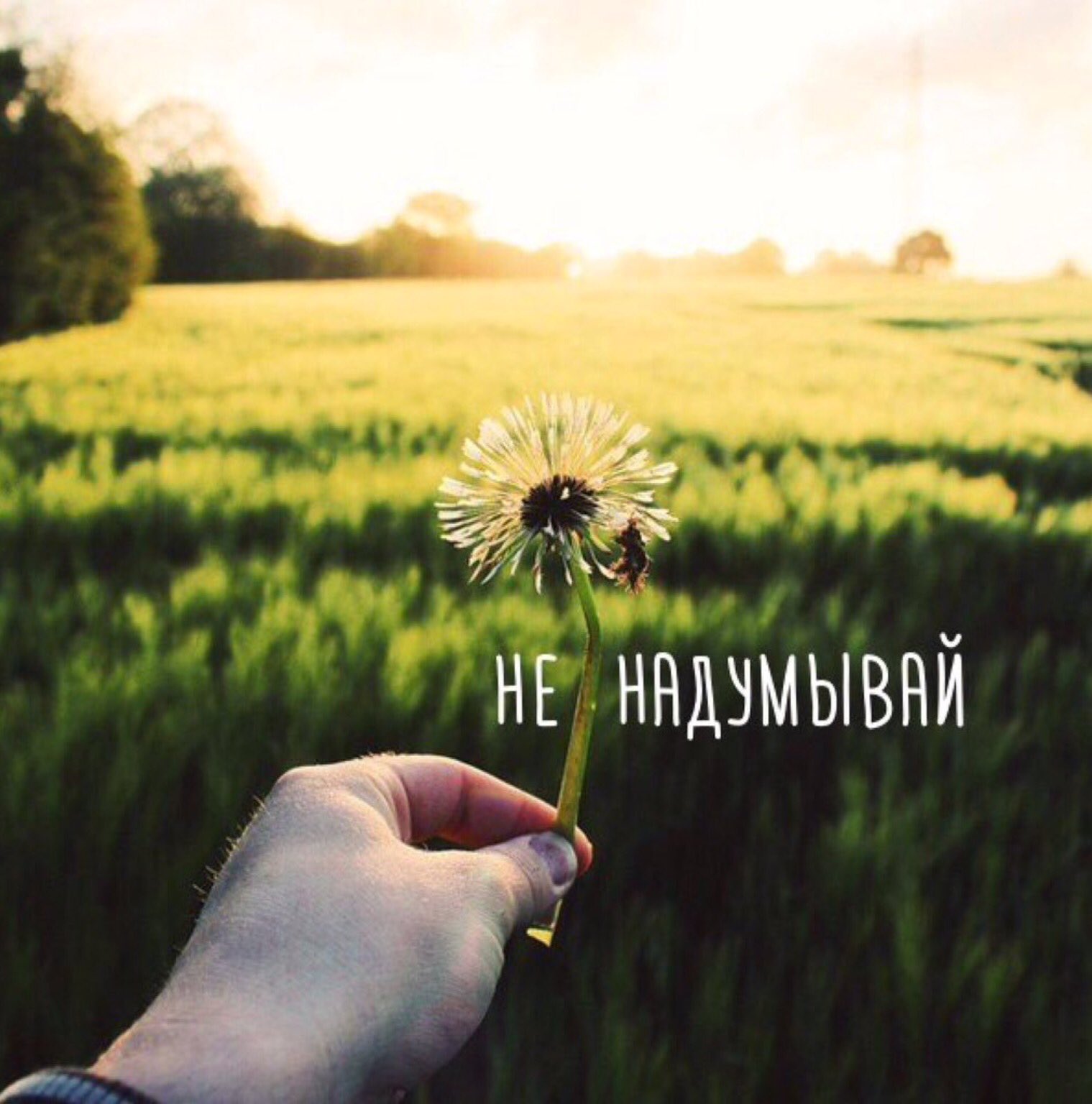 Не надумывай не усложняй не переживай