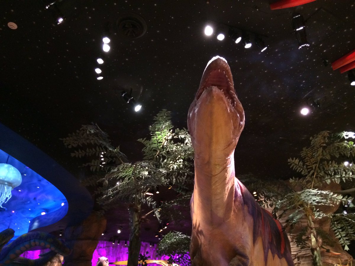 DoetsReizen's tweet photo. Zijn jouw kids echte dino fan's? Ga dan eten bij T-rex in Disney Springs! #Disney #Florida #dinosaurus #themarestsurant https://t.co/s7jJiTMqxa