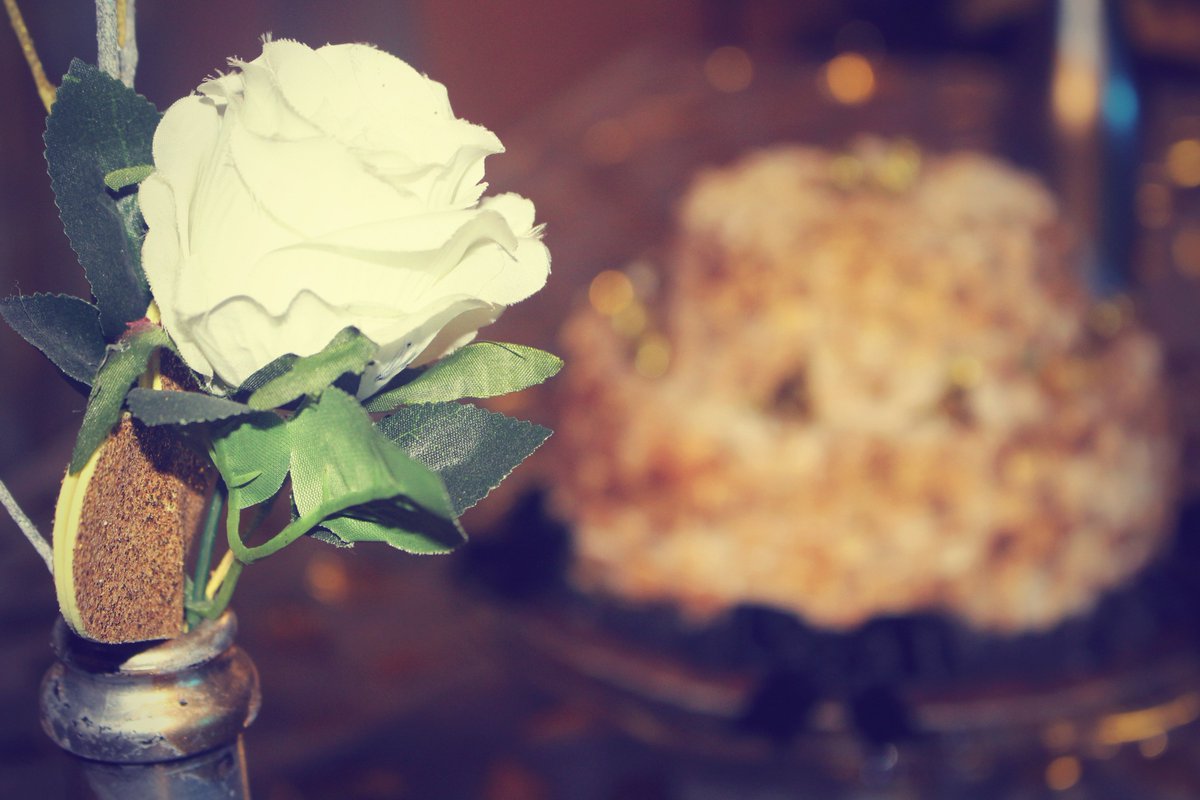 phottoframe's tweet image. Trabalhe com o que te faz feliz.
#work #photo #likethis #foto #foco #flor #bday #change #cool #nice #fotografia #happyday  &amp;lt;3