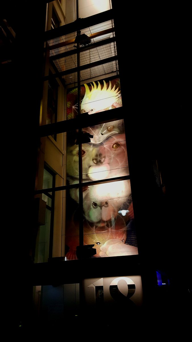 ripewords's tweet photo. Love your city laneways @Melbourne https://t.co/JUswJNp1pV
