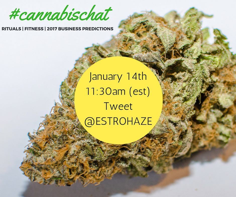 EstroHaze's tweet photo. Told ya weed be back! Join us this #Saturday for an amazing #CannabisChat on Twitter! We'r… https://t.co/6BtbKadQBQ https://t.co/W8G5dbIugN