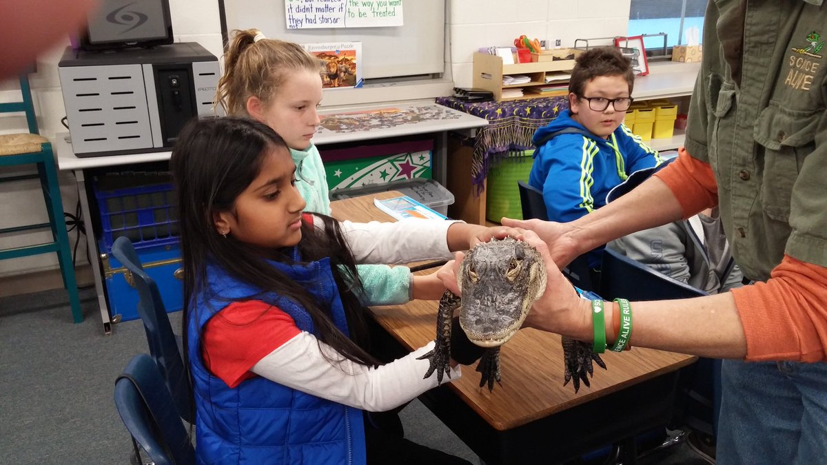 sommersC12's tweet photo. Science Alive came to our classroom yesterday.  It was awesome!
#sayrestrong https://t.co/37Fl7rLlDt