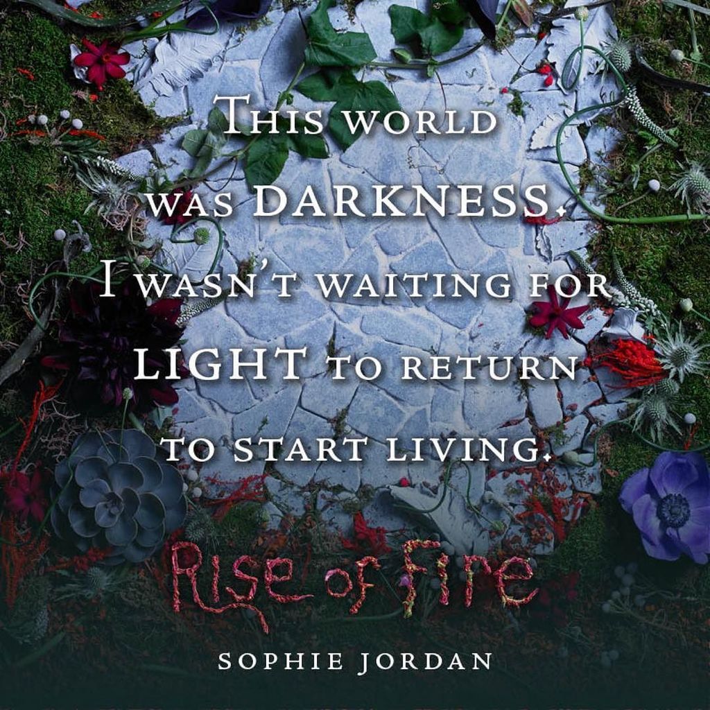 SoVerySophie's tweet photo. Just one month to go! #reignofshadows #sequel #riseoffire @harperteen #februaryrelease https://t.co/G4Ah2oxuhR