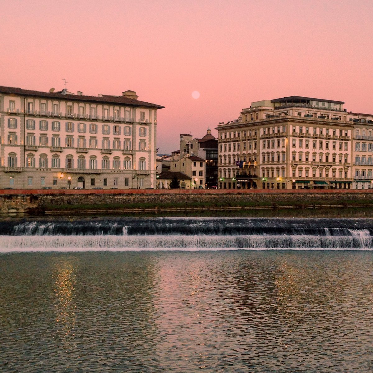 Nicola Williams tweet media