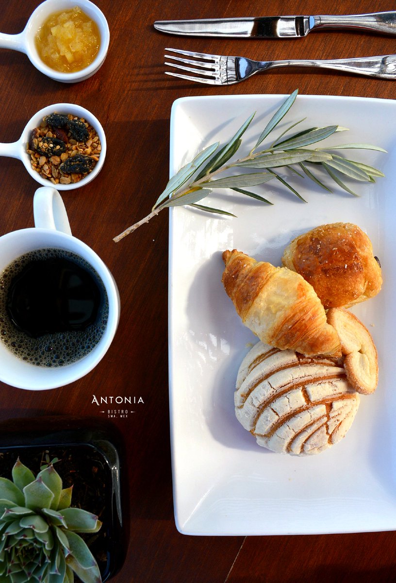 antoniabistrosm's tweet photo. La mejor vista, delicioso café y un rico pan....Antonia
#sma #travel #desayuno #bestview #bistroroyal @GtoTurismo @GtoSiSabe @turismo_sma https://t.co/pTLAigpwsy