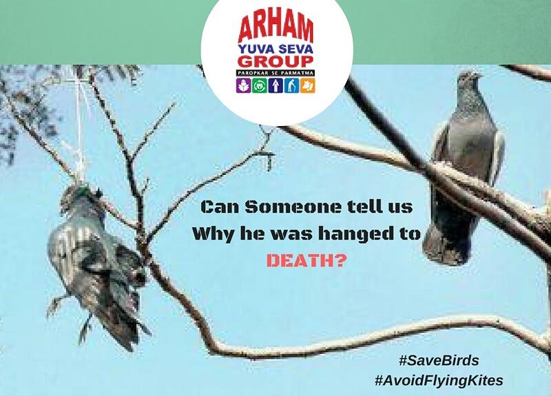 HelloIamDM's tweet photo. #Savebirds #avoidflyingkites #colourofcompassion #aysgindia https://t.co/cki0AomSPQ